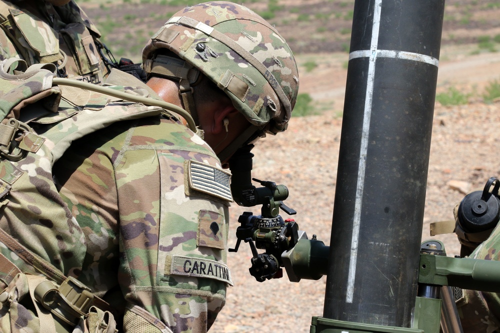 Task Force Iron Gray conducts joint mortar live fire with French Forces in Djibouti