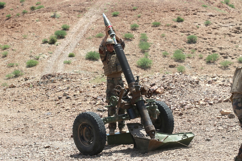 Task Force Iron Gray conducts joint mortar live fire with French Forces in Djibouti