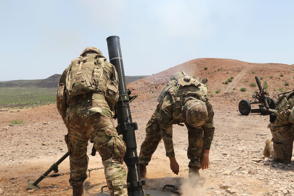 Task Force Iron Gray conducts joint mortar live fire with French Forces in Djibouti