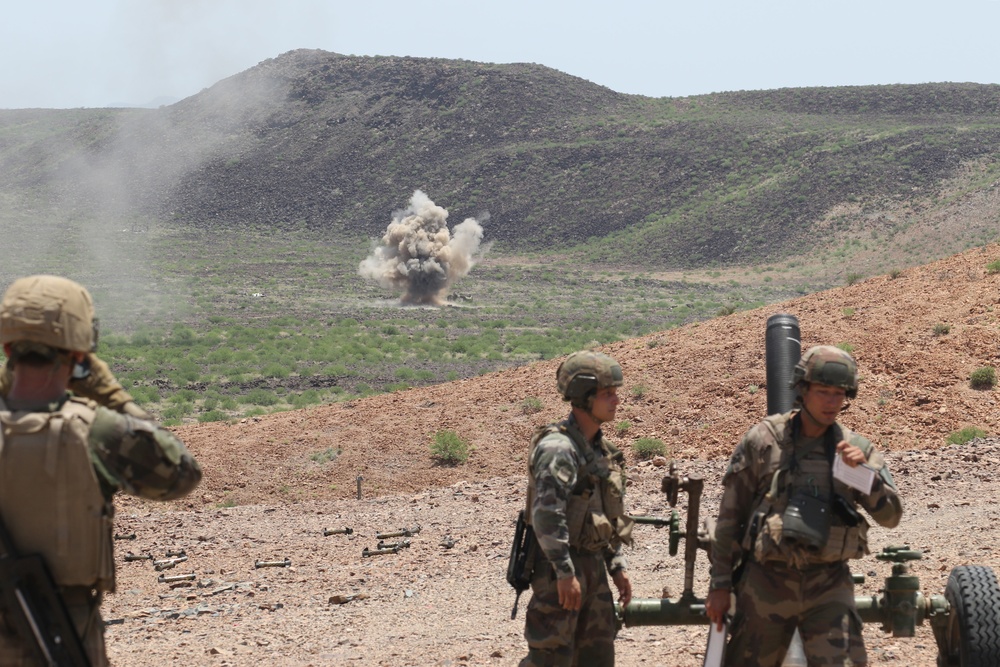 Task Force Iron Gray conducts joint mortar live fire with French Forces in Djibouti