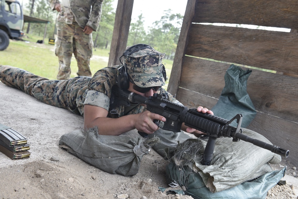 Building readiness: Joint service members qualify on M17