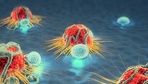Image 20: Meeting of the Minds: DTRA-JSTO is Creating a Pipeline for MCM Discovery