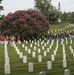 Marines Conduct Full Honors Funeral for Cpl. Gurpreet Singh