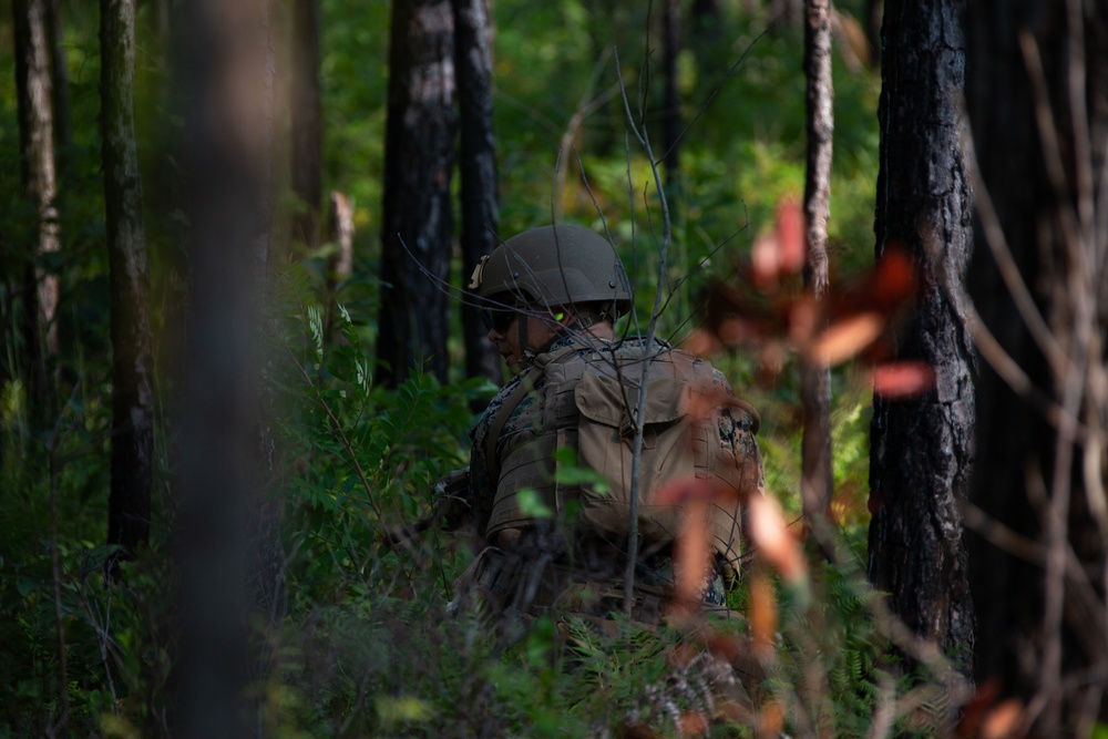 Week two for the new Infantry Marine Course for entry-level Marine training