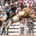 Cheyenne Frontier Days'  Rodeo