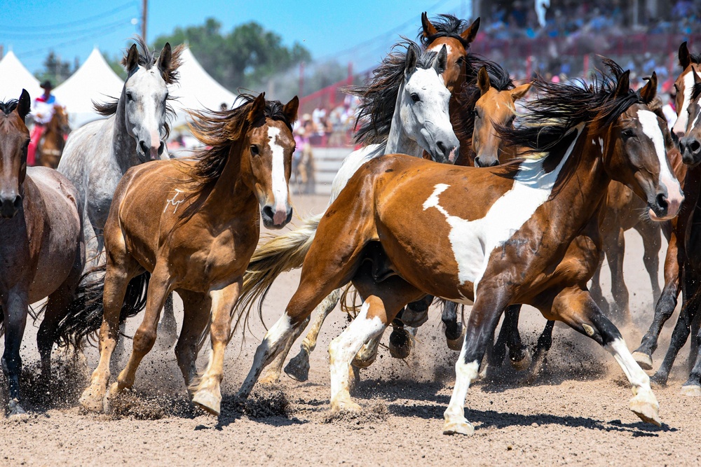 Cheyenne Frontier Days'  Rodeo