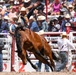 Cheyenne Frontier Days' Rodeo