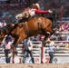 Cheyenne Frontier Days' Rodeo