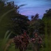 Defender Pacific 21: Special Forces Soldiers conduct maneuvers with JGSDF in Guam