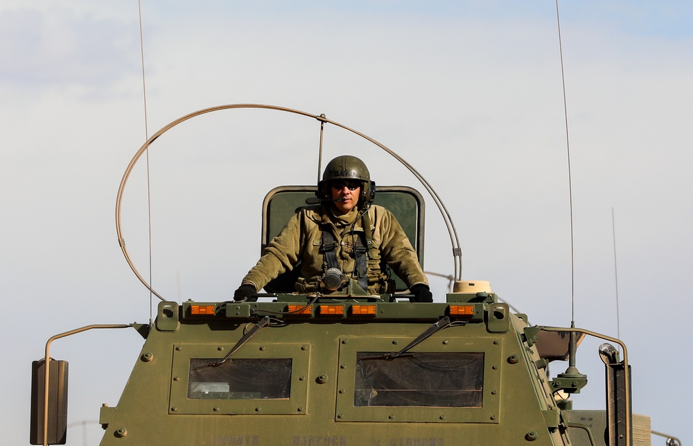 Soldiers of the 1-181 Field Artillery Regiment, 30th Troop Command, took part in a Live-Fire Exercise