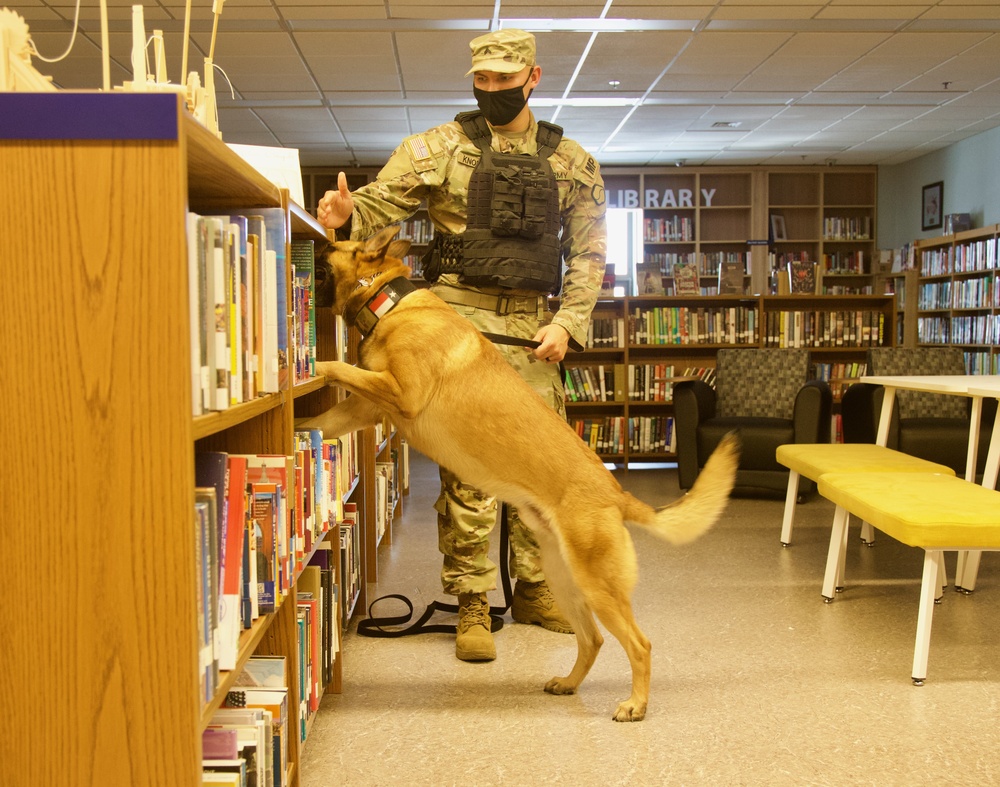 Military Working Dog team on Camp Walker