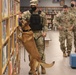 Military Working Dog team on Camp Walker
