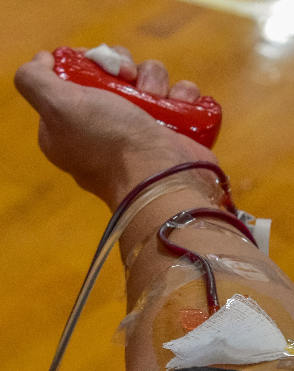 HIARNG partners to conduct a Blood Drive