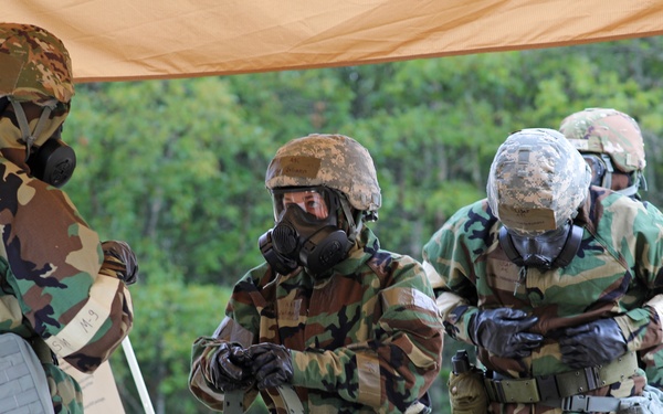 Exercise Spartan CCA Training