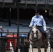 CFD rodeo