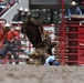 CFD rodeo