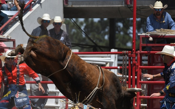 CFD rodeo