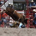 CFD rodeo