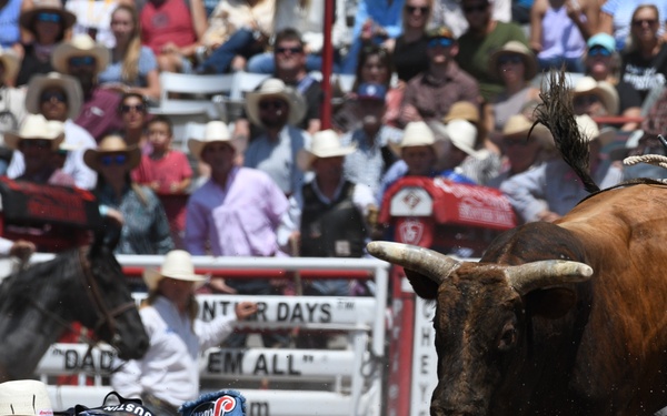 CFD rodeo