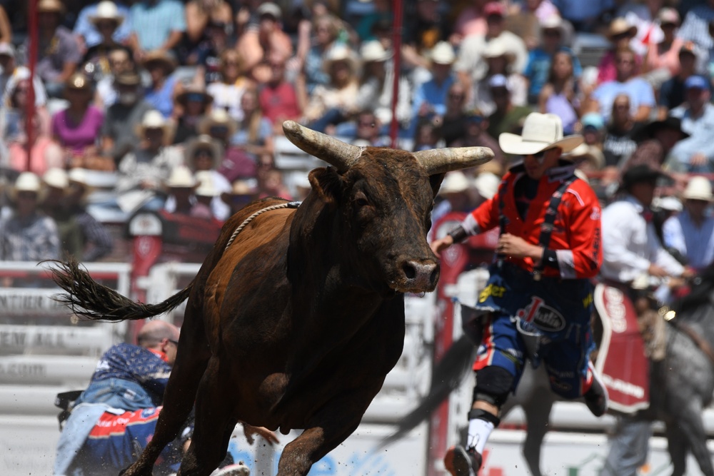 DVIDS Images CFD rodeo [Image 6 of 8]
