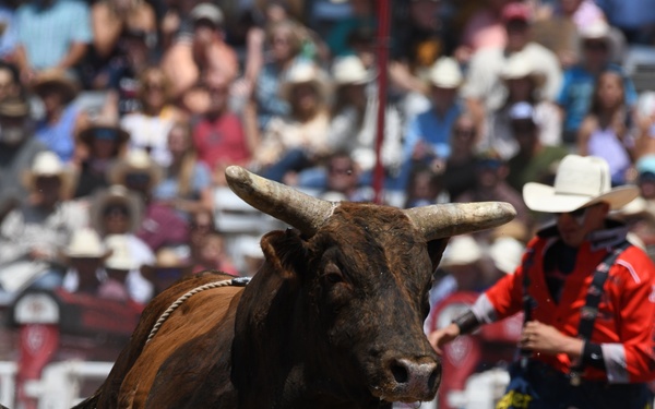 CFD rodeo