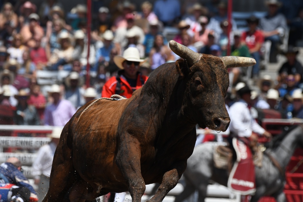 DVIDS Images CFD rodeo [Image 8 of 8]