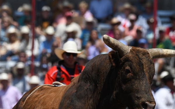 CFD rodeo