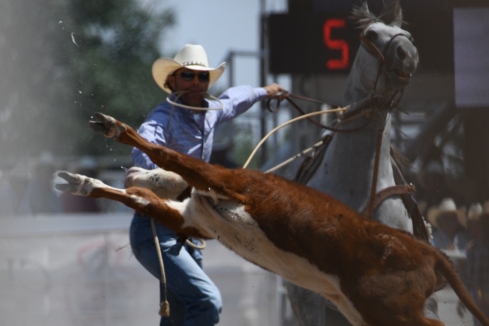 CFD rodeo