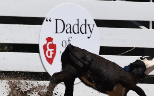 CFD rodeo