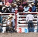 CFD rodeo