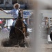 CFD rodeo