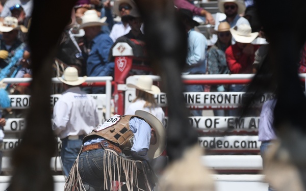 CFD rodeo