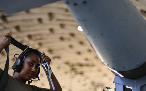 Flight line faces: Juvats