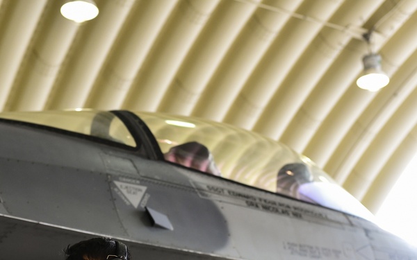 Flight line faces: Pantons