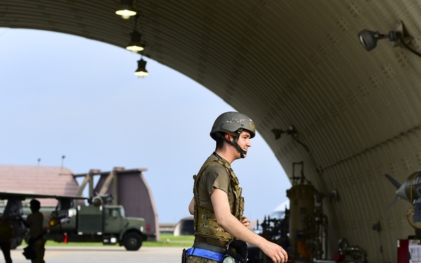 Flight line faces: Pantons