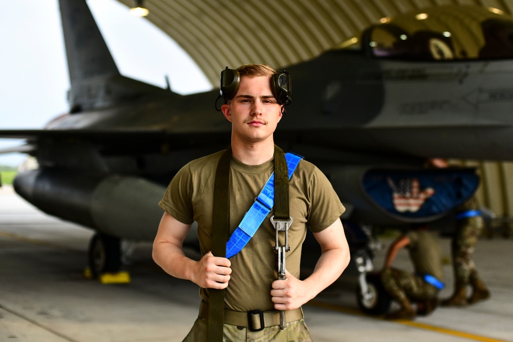 Flight line faces: Pantons