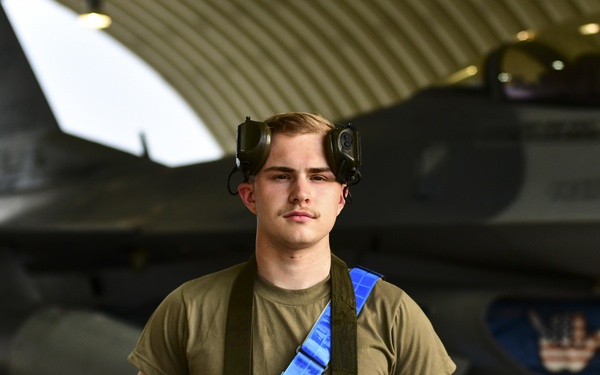 Flight line faces: Pantons