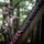 A military service member in camouflage utilities and combat gear is climbing an angled rope-and-ladder obstacle structure in a wooded training environment. The uniform and equipment are visibly muddy and worn, indicating an extended field exercise. A second service member is visible in the background, also in uniform.