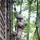 A military service member in desert camouflage (MARPAT) uniform is climbing a rope ladder attached to a tall wooden wall structure in a forested setting. The individual is fully equipped with combat gear, helmet, and tactical vest, and appears to be navigating a military obstacle course. The uniform and equipment are visibly soiled with mud, indicating active physical training.