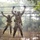 Two military personnel in full combat gear are traversing a rope bridge obstacle over a body of muddy water in a wooded environment. They are gripping upper hand ropes while balancing on lower foot ropes, suggesting a military training exercise or obstacle course. The setting appears to be a forested training area with fog or mist visible in the background.