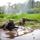 Two military personnel in full combat gear are low-crawling through a shallow muddy water obstacle during what appears to be a field training exercise. Both soldiers are wearing camouflage uniforms and helmets while carrying rifles, with smoke visible in the background. The setting is a wooded, grassy terrain with standing water, consistent with a military training course.