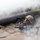 A soldier in full combat gear and helmet is crawling through a muddy water obstacle beneath a large log during what appears to be a military training exercise. The soldier is holding an assault rifle above the water while navigating the obstacle course. White smoke or fog surrounds the scene, adding to the intensity of the training environment.