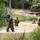 Multiple soldiers in full combat gear and camouflage uniforms are wading through a shallow, muddy waterway during what appears to be a military training exercise. The soldiers are carrying rifles in tactical ready positions, with their uniforms and equipment visibly soaked and mud-covered. The setting is a wooded training area with a dirt road and natural vegetation surrounding the water obstacle.