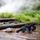 Military personnel are crawling through a muddy water obstacle course during what appears to be a combat training exercise. Soldiers in camouflage uniforms are submerged in brown muddy water while holding their rifles above the surface to keep them dry. Smoke or steam is visible in the background, suggesting simulated battlefield conditions.