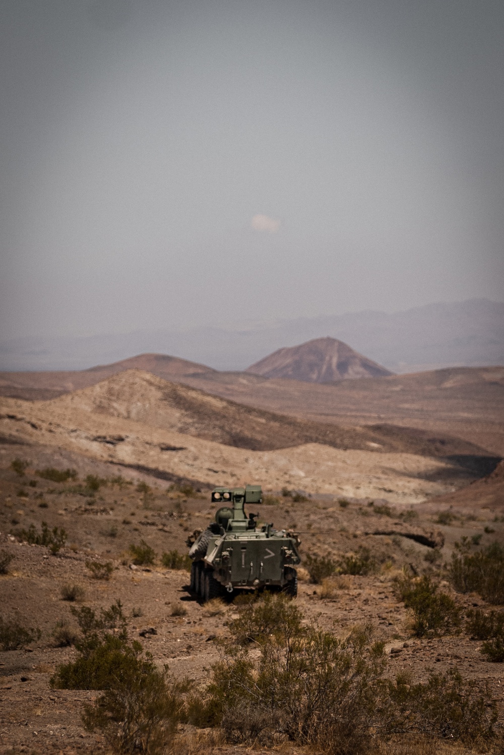 Marine Corps Reserves Participate in the Battalion Distributed Operations Course