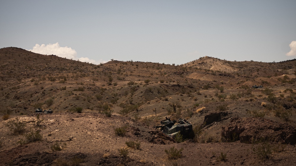 Marine Corps Reserves Participate in the Battalion Distributed Operations Course