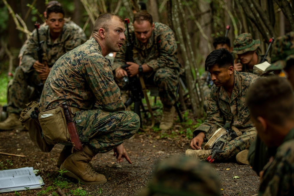 MWSS-171 Conducts Ground Air Defense Training During Eagle Wrath 21