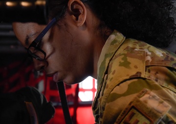 Polish military observes NPCL training