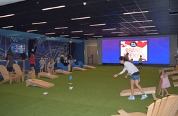 Indoor lawn games