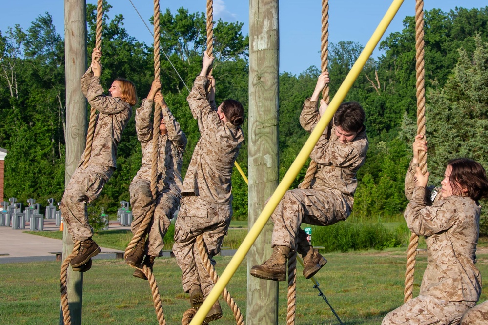 India Co. Obstacle Course